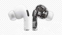 Statistical Analysis